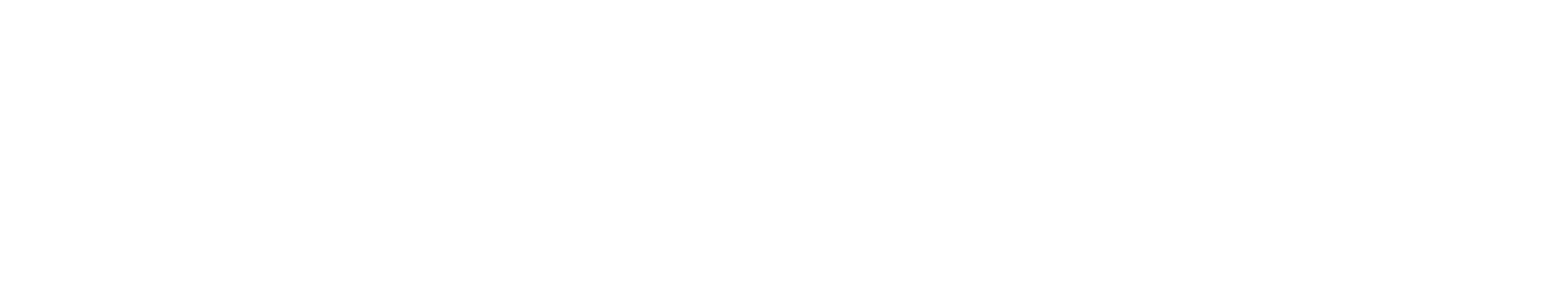 理想のパートナー